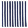 1-VI-PO-RU-alfombra-plastico-exterior-rayas-marino-azul-blanco