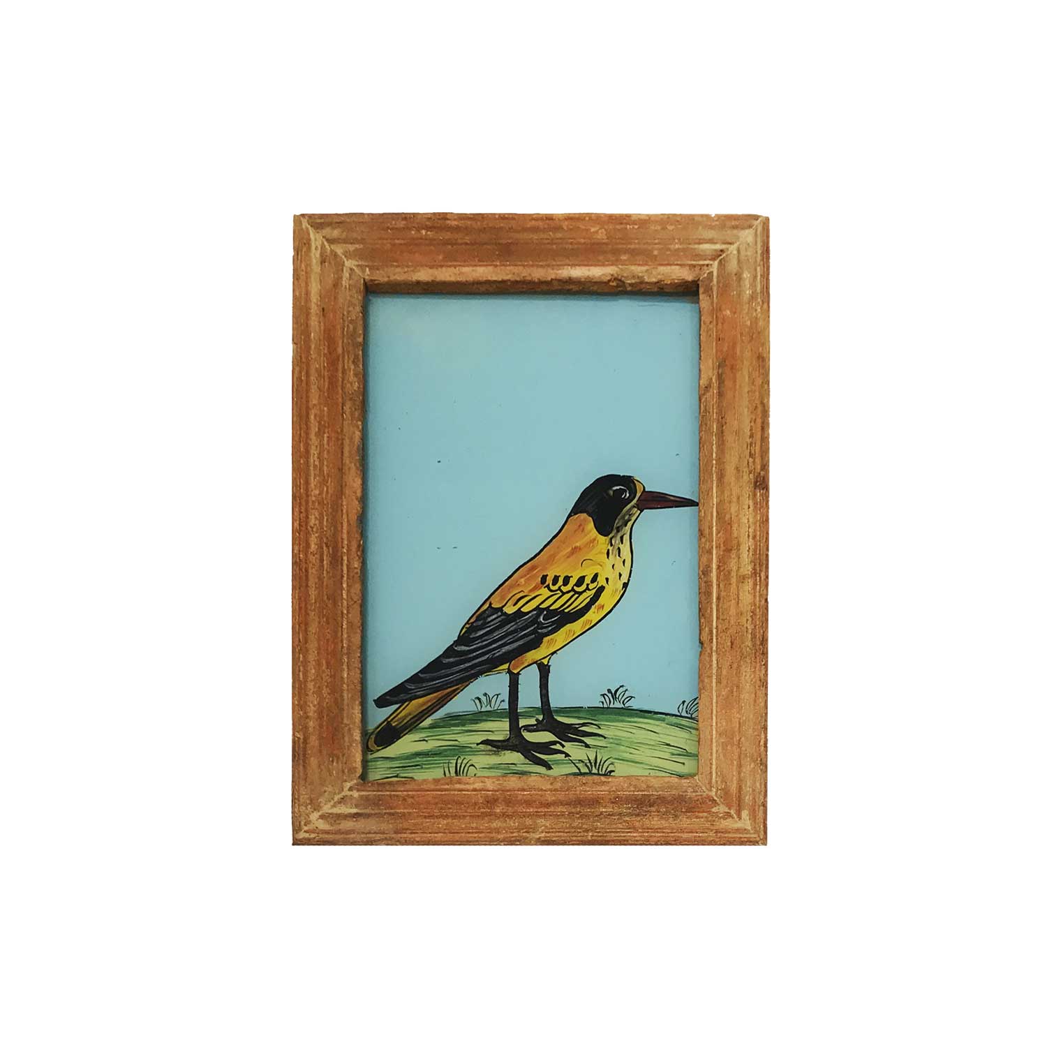 silvestre-azul-marco-menos-naranja