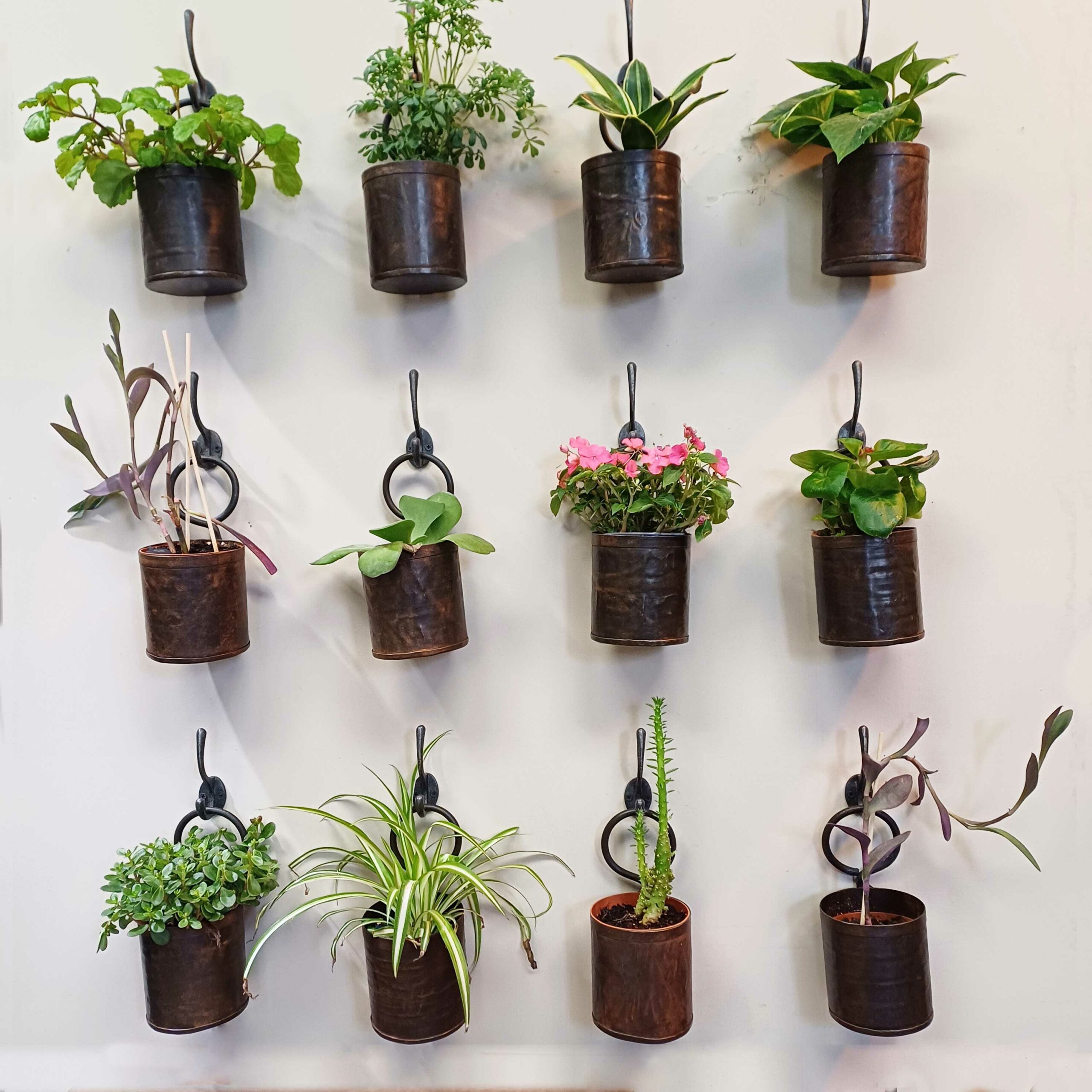 Potes metálicos con plantas