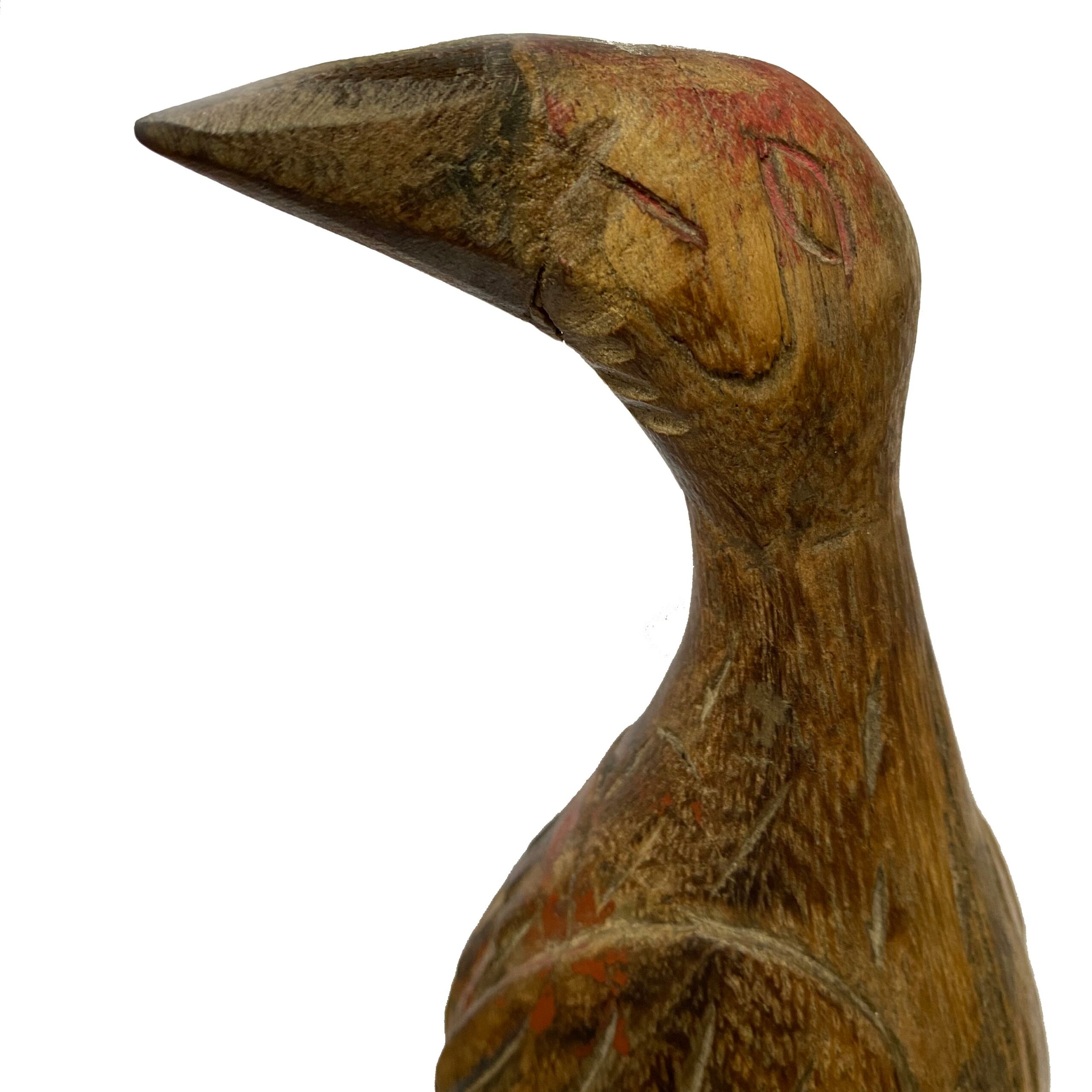 Ave Bagala Detalle del Ave Bagala de Casa azul